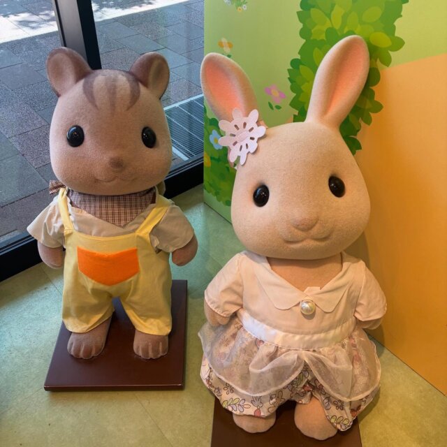 💕🐰シルバニアファミリーの皆さん🐰💕

#シルバニア #シルバニアファミリー#カワイイ
#kawaii